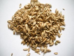 wheat husk
