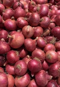 Onions