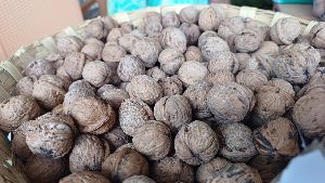 Walnuts