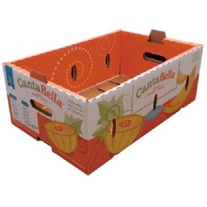 Corrugated Fruit Box