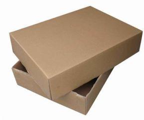 Duplex Packaging Box