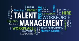 talent management services