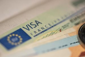 Visa Assitance