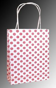 Printed Paper Bags