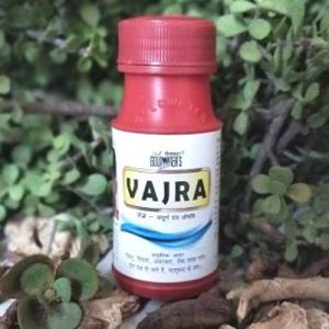 Vajra Manjan Tooth Powder