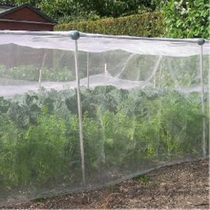 Anti Insect Net