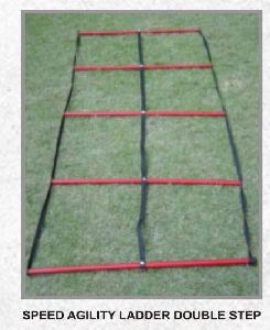 Double Agility Ladder