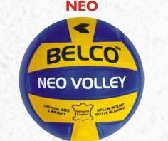 Neo Volleyball