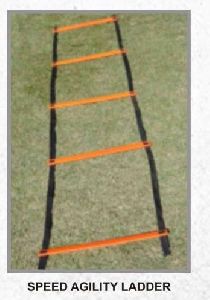 Single Agility Ladder