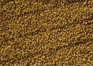 Fenugreek Seeds