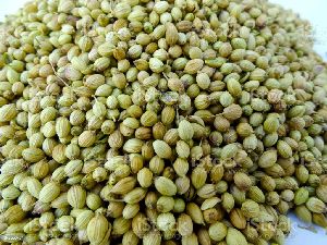 Coriander Seeds