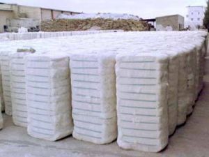 Raw Cotton Bales