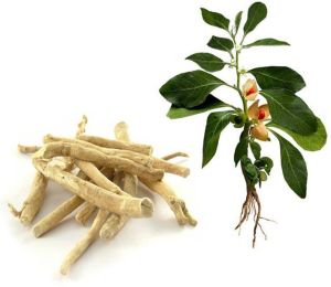 Ashwagandha Roots