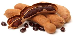 Fresh Tamarind