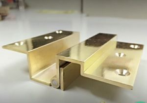 Brass Duck Hinges