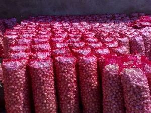 Fresh Red Onion