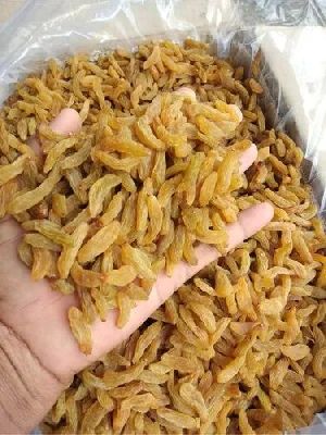 Golden Raisins