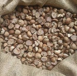 Betel Nuts