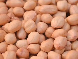 40/50 Java Peanut Kernels