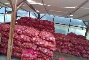 Dried Coconut