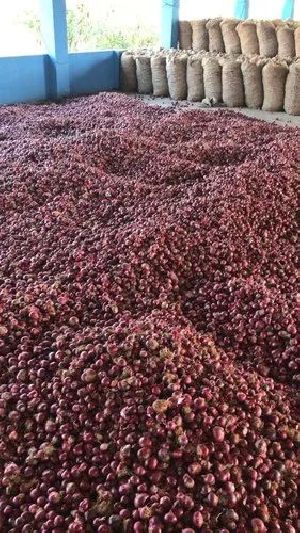 Fresh Rose Onion