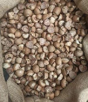 Betel Nuts