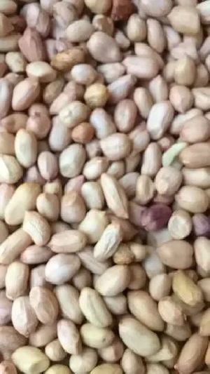 50/60 Java Peanut Kernels