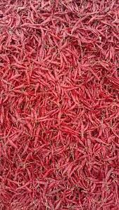 Armour Dried Red Chilli