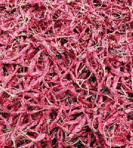 Syngenta 5531 Dried Red Chilli