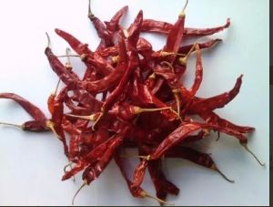 273 Wrinkle Dried Red Chilli With Stem