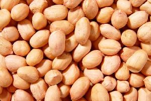Java 140/160 Peanuts