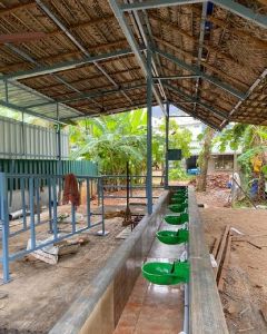 Automatic cattle water bowl