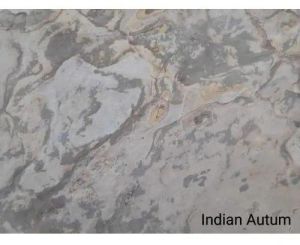 Indian Autumn Stone Veneer