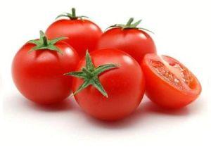 Fresh Tomato