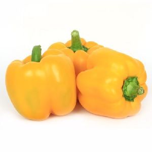 Fresh Yellow Capsicum