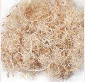 Dried Curly Moss Bleached