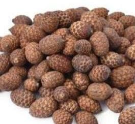 Dried Cane Fruit