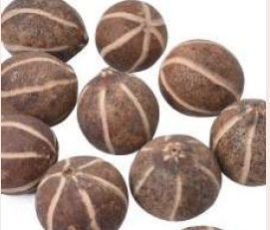 Dried Zebra Pods