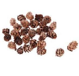 Mini Natural Pine Cones Dried Flowers