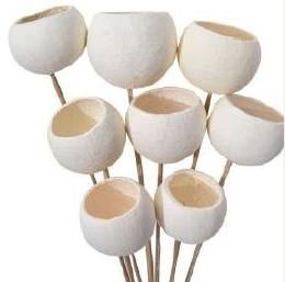 Natural Bell Cup with Stick