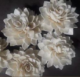 Sola Dahlia Flower