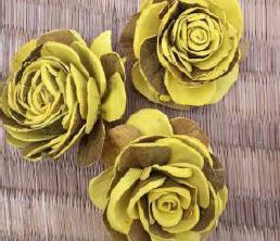 Sola Yellow Rose Flower