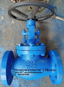 Globe Control Valve