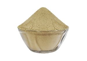 Giloy Powder