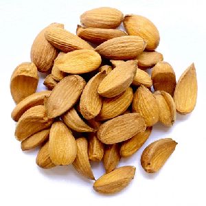 Kashmiri Mamra almonds