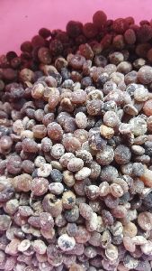 Black Nirmali Seeds