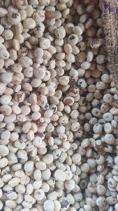 Polished Nirmali Seeds