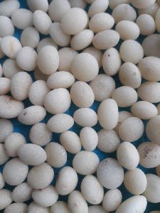 Super White Nirmali Seeds