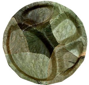 10 Inch Palash Leaf Plate