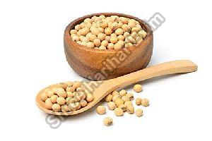 organic soybean